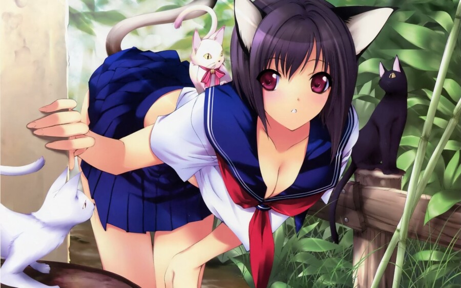 Telegram channels on Hentai Topic: 30 Very Hot Channels