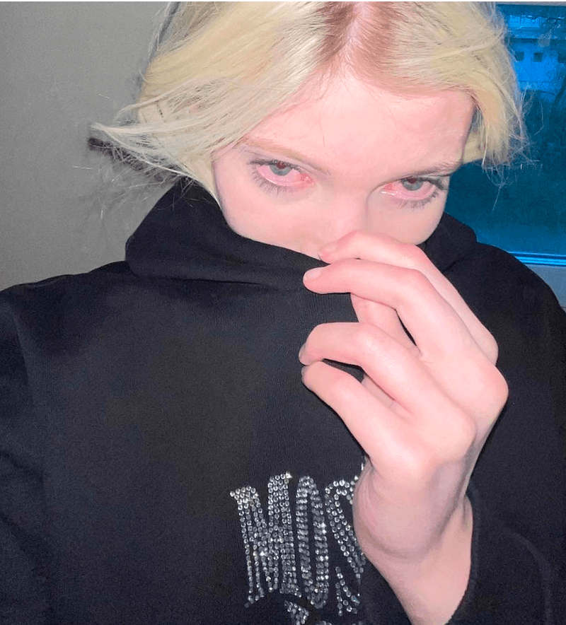 Julia Finess: Blogger Biography